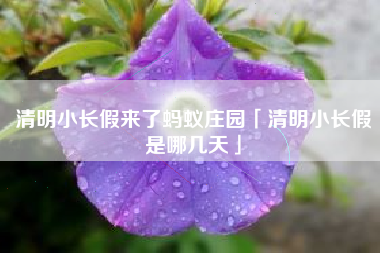 清明小长假来了蚂蚁庄园「清明小长假是哪几天」