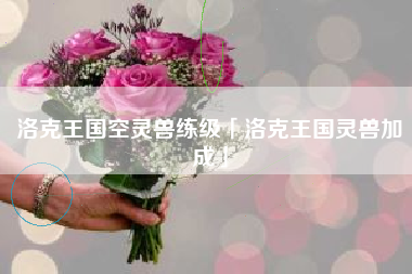 洛克王国空灵兽练级「洛克王国灵兽加成」