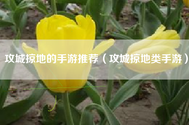 攻城掠地的手游推荐（攻城掠地类手游）