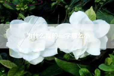 为什么我的dnf字那么小