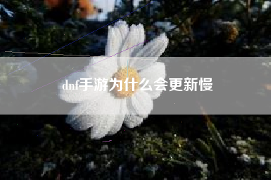 dnf手游为什么会更新慢