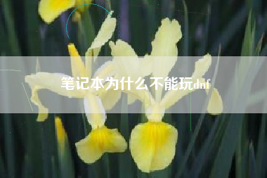 笔记本为什么不能玩dnf