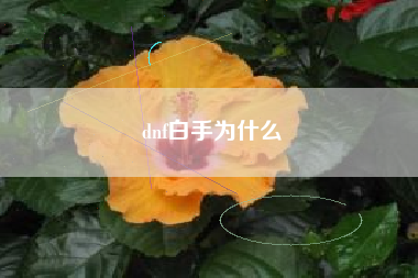 dnf白手为什么