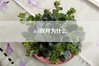 dnf双开为什么