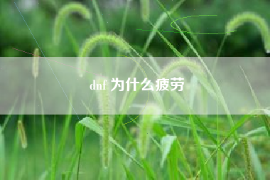 dnf 为什么疲劳
