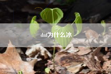 dnf为什么冰