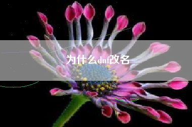 为什么dnf改名
