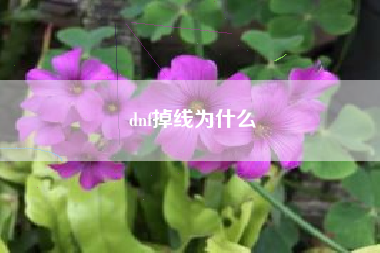 dnf掉线为什么