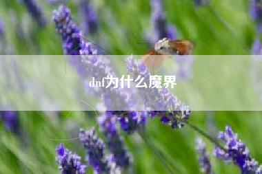 dnf为什么魔界