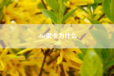 dnf很卡为什么