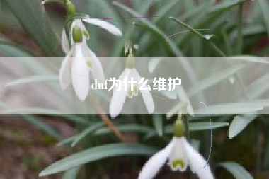 dnf为什么维护