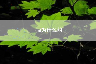 dnf为什么鸽
