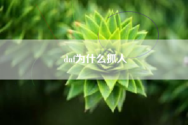 dnf为什么抓人