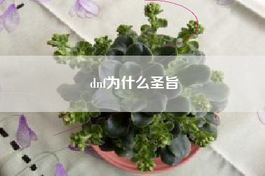 dnf为什么圣旨