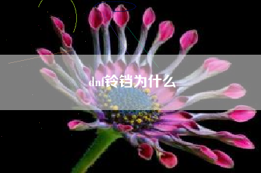 dnf铃铛为什么