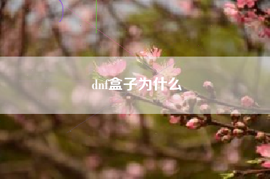 dnf盒子为什么