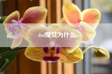 dnf魔女为什么