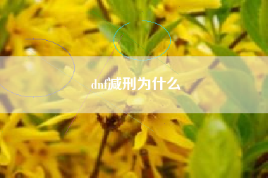 dnf减刑为什么