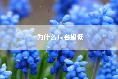 为什么dnf名望低