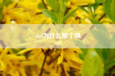 dnf为什么那个唤