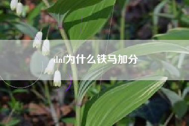 dnf为什么铁马加分