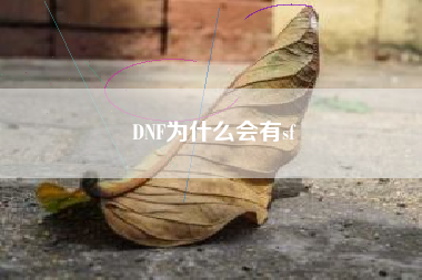 DNF为什么会有sf