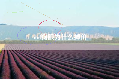 dnf狗眼为什么掉价