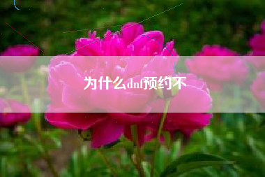 为什么dnf预约不