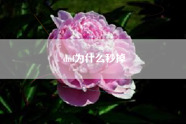 dnf为什么秒掉