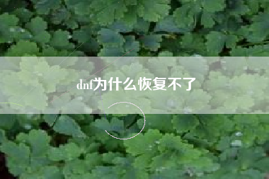 dnf为什么恢复不了