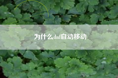 为什么dnf自动移动