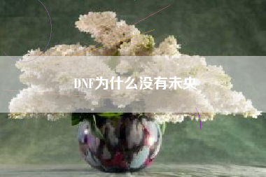 DNF为什么没有未央