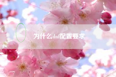 为什么dnf配置要求
