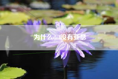为什么dnf没有亚瑟