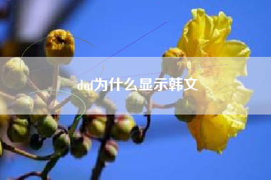 dnf为什么显示韩文