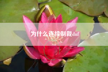 为什么连续制裁dnf
