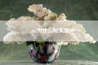 dnf为什么和天空