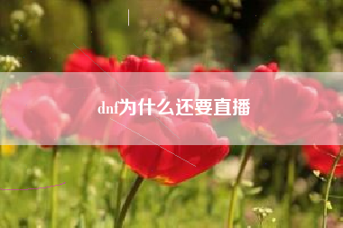 dnf为什么还要直播