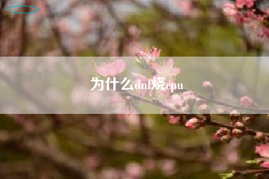 为什么dnf烧cpu