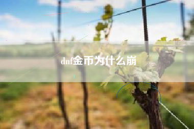 dnf金币为什么崩