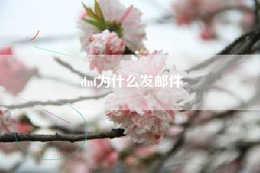 dnf为什么发邮件