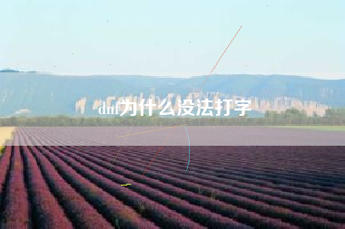 dnf为什么没法打字