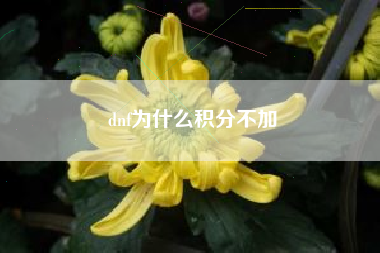 dnf为什么积分不加