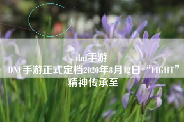 dnf手游 
DNF手游正式定档2020年8月12日“FIGHT”精神传承至