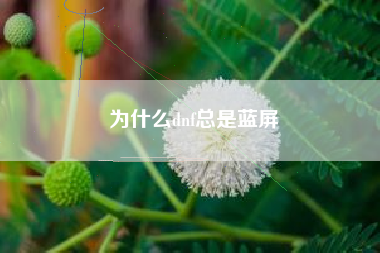 为什么dnf总是蓝屏