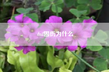 dnf固伤为什么