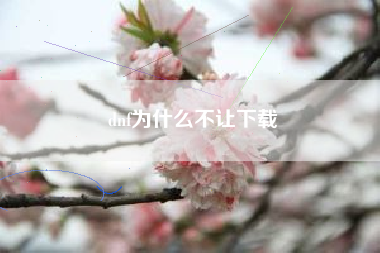 dnf为什么不让下载