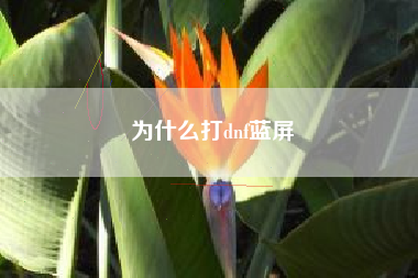 为什么打dnf蓝屏