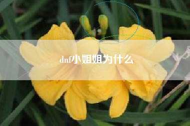 dnf小姐姐为什么