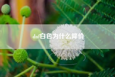 dnf白色为什么降价